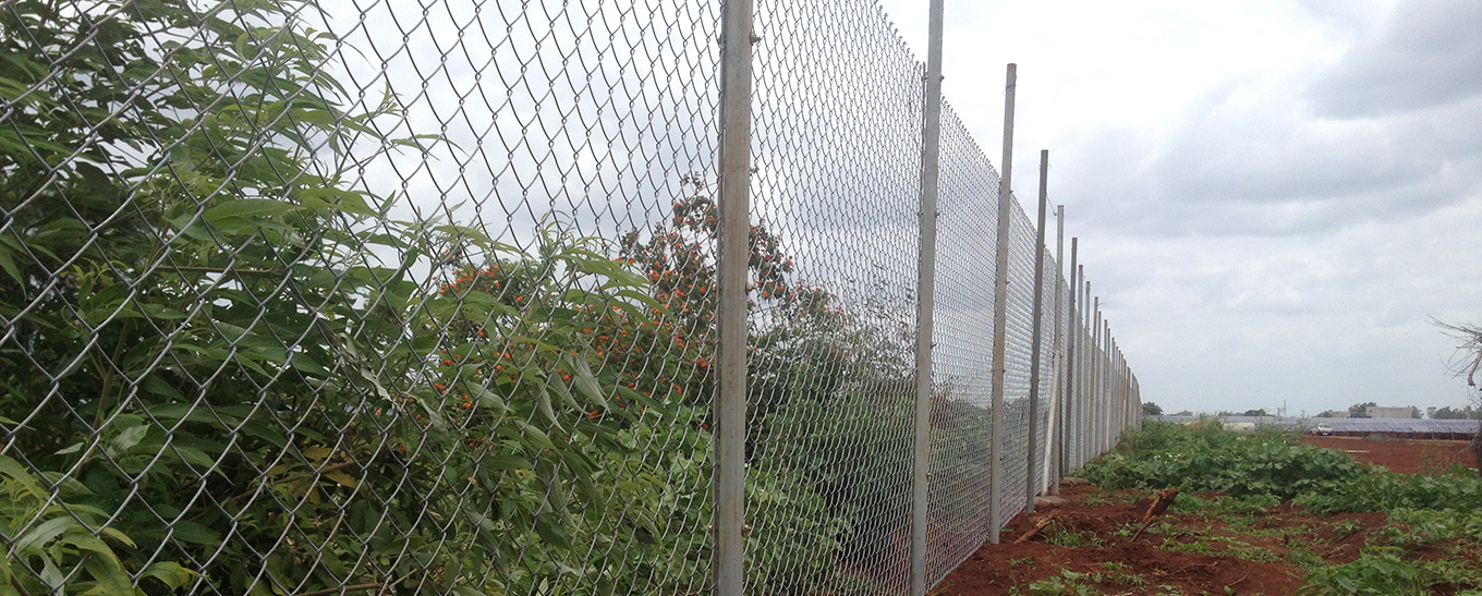 Chain Link Fencing